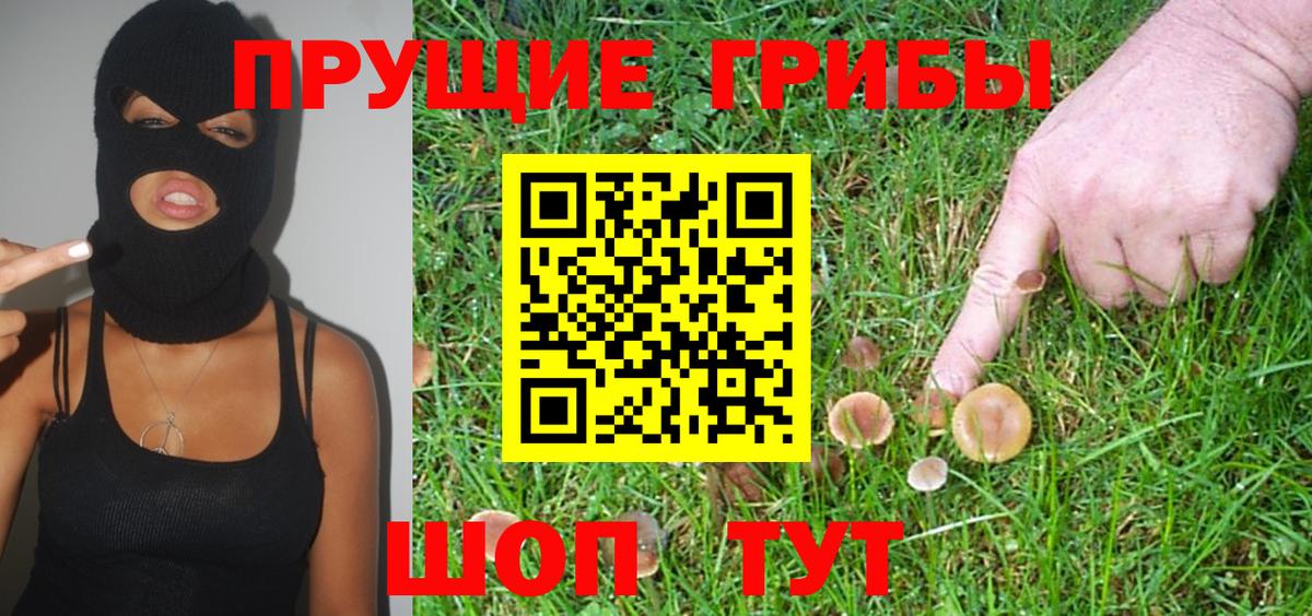 Галлюциногенные грибы прущие грибы  Вход с VPN  Ржев 